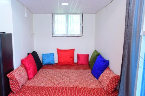 forrest homestay villa