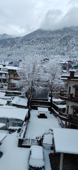 Daddys Manali,,0 star