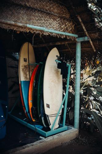 paddle cult