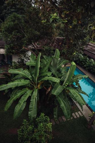 varkala