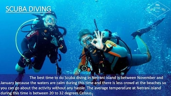 the postcard on the arabian sea