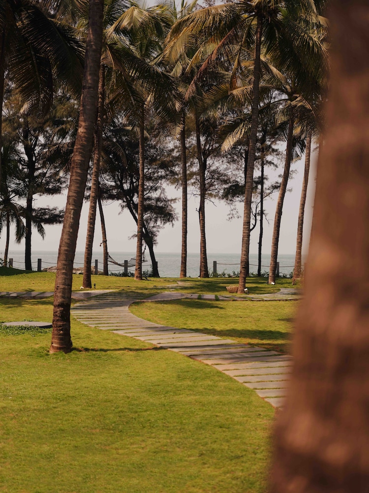 the postcard on the arabian sea