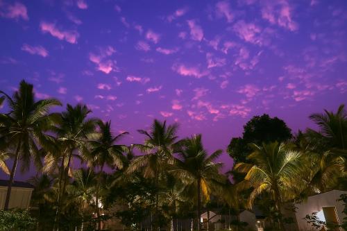 the postcard on the arabian sea