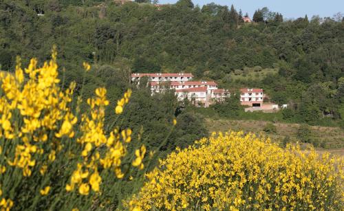 residence citta ideale