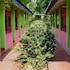 dreamland resort and restaurant