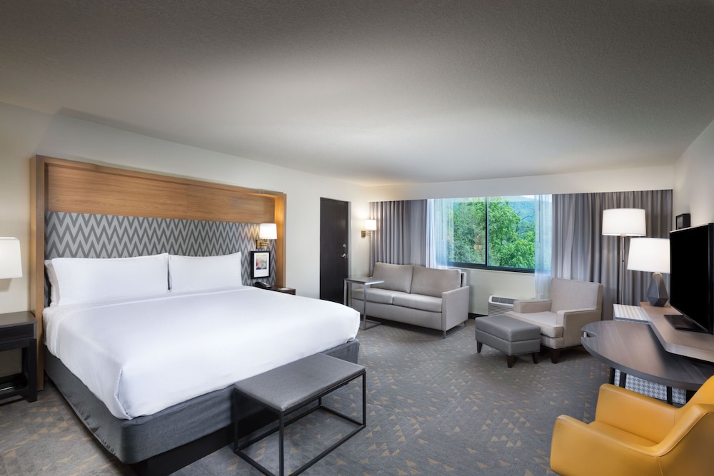 holiday inn asheville east blue ridge pkwy an ihg hotel