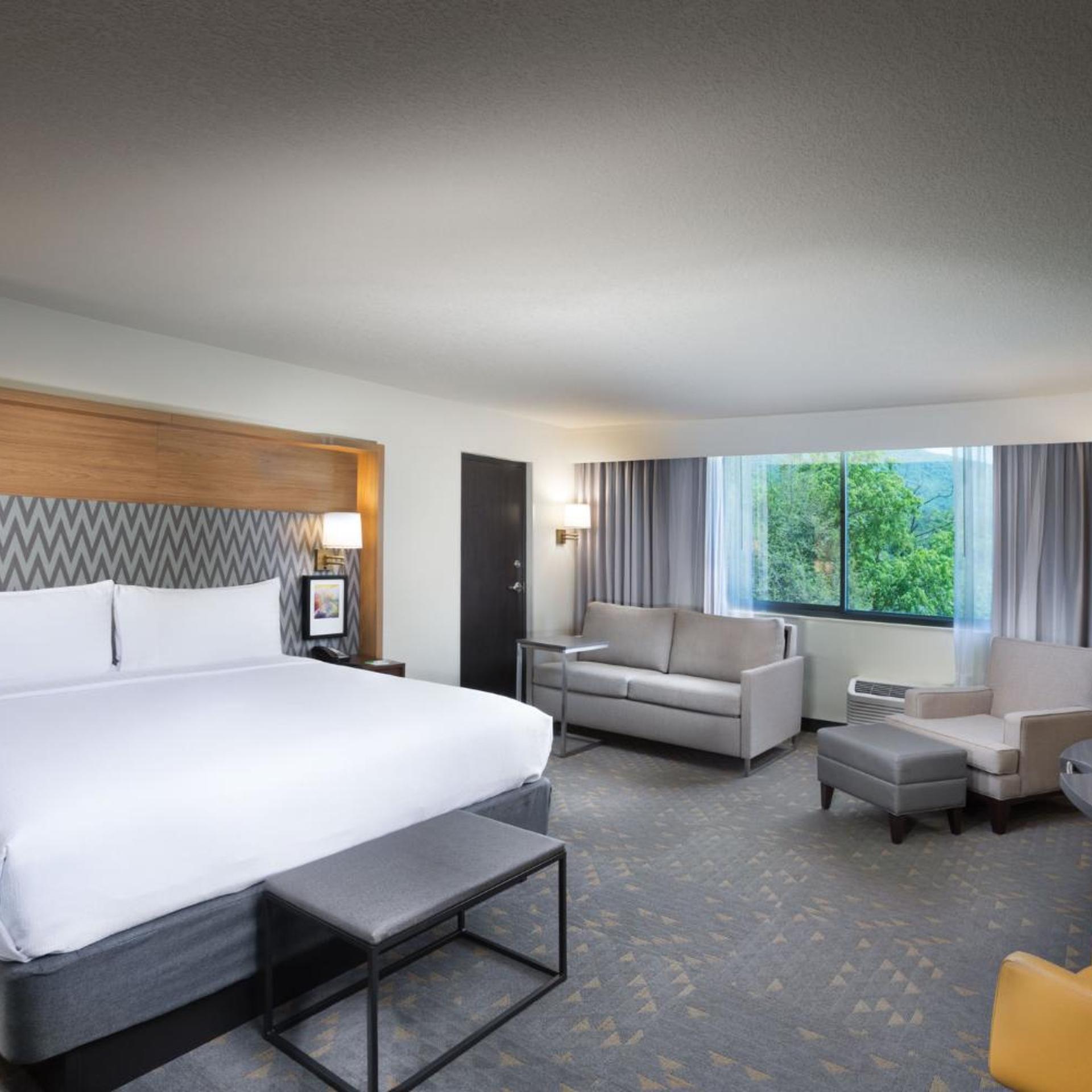 holiday inn asheville east blue ridge pkwy an ihg hotel