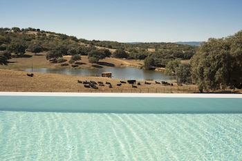 habitat ciguena negra