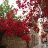 nafplio