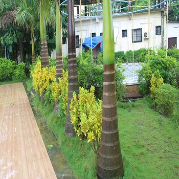 Hotel Metro Palace Holiday Resort,,0 star
