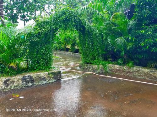 hotel mumbai garden resort