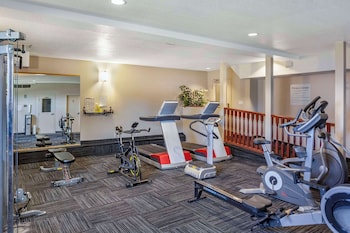 quality inn and suites edmonton international airport