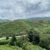 bethany heights