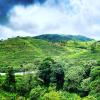 vagamon