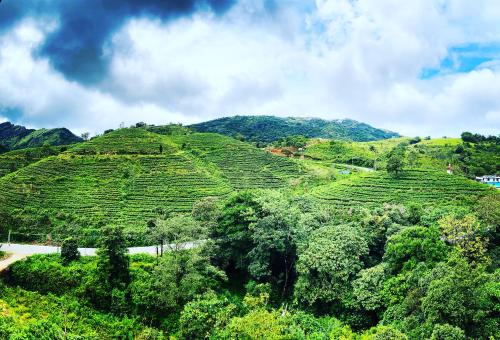 vagamon