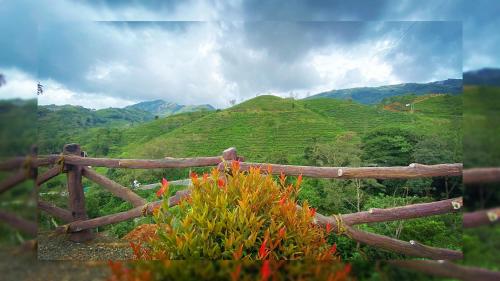 vagamon