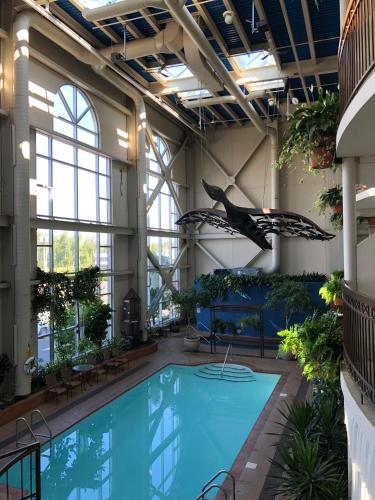 Hotel L'oie Des Neiges,Levis>>Desjardins,3 star