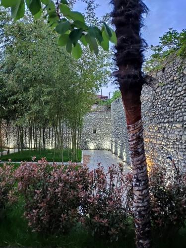 shkoder
