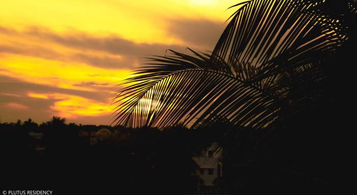 plutus residency