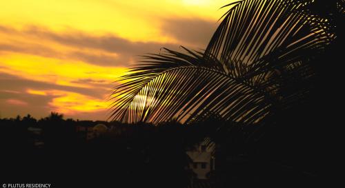 plutus residency
