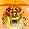 the rathore heritage