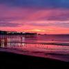 paignton