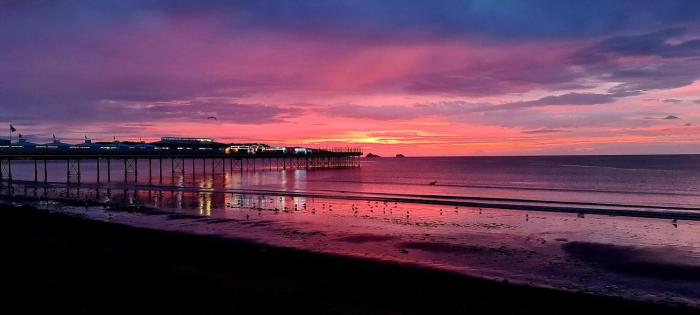 paignton