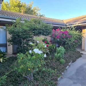 Albury Allawa Motor Inn,South Albury>>Albury,4 star