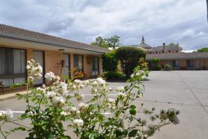 Albury Allawa Motor Inn,South Albury>>Albury,4 star