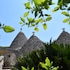 martina franca