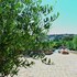 martina franca