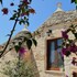 la rosa dei trulli bandb