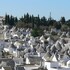 la rosa dei trulli bandb