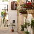 la rosa dei trulli bandb
