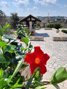 martina franca