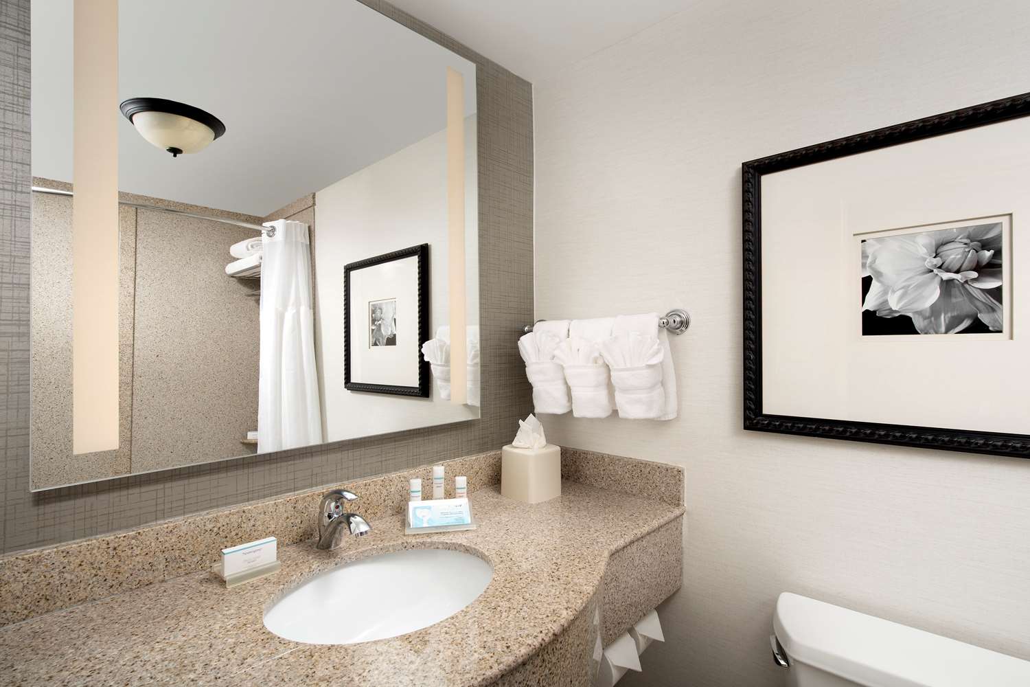 hilton garden inn atlanta west lithia springs