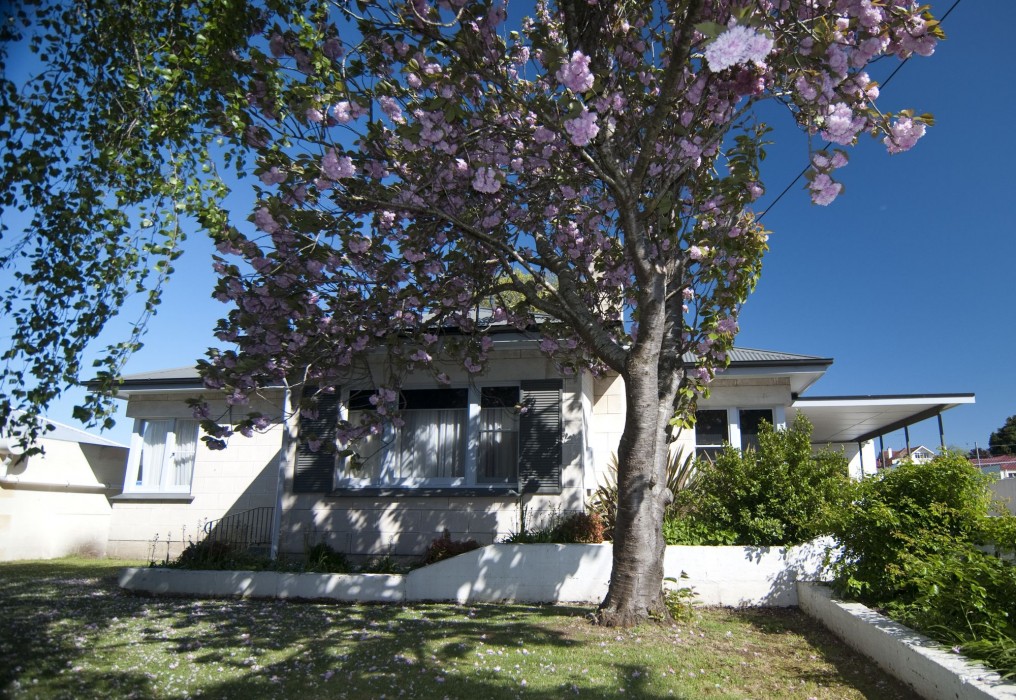 mount gambier