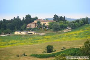 Palazzo Loup,Bologna>>Alto Reno Terme,4 star