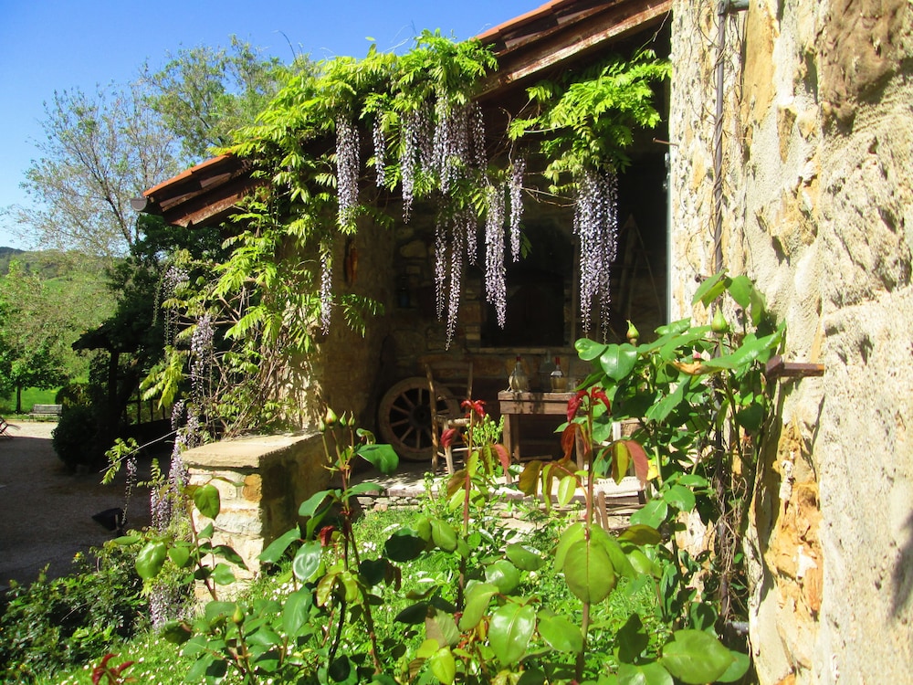 palazzo loup
