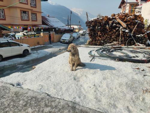 lachung