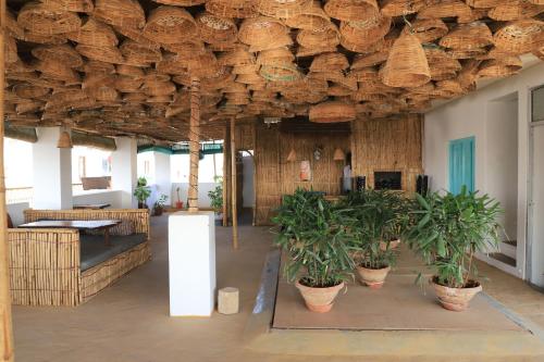 the brahma space