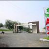 d green village resort