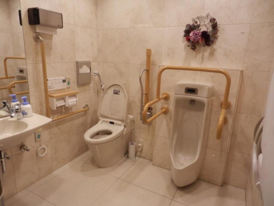 Toyoko Inn Gifu Hashima Station Shinkansen Minami,Gifu Prefecture>>Gifu,3 star
