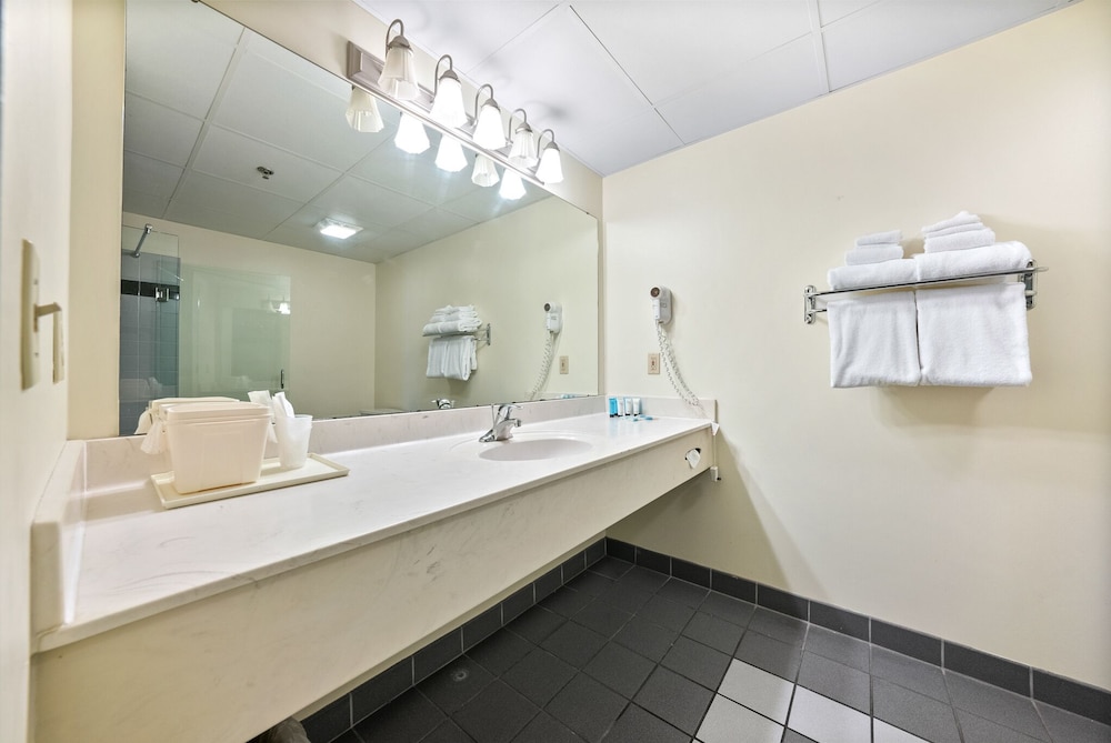 bayshore 104