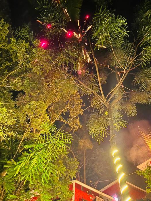 vip garden resort