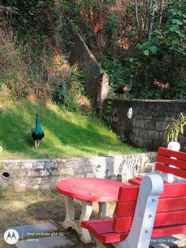 vip garden resort