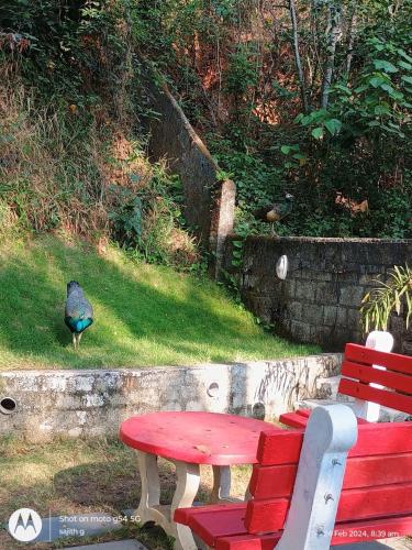 vip garden resort