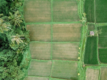 ubud