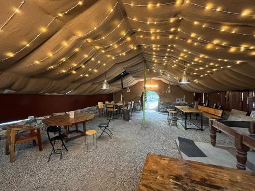 the hidden burrow by whoopers