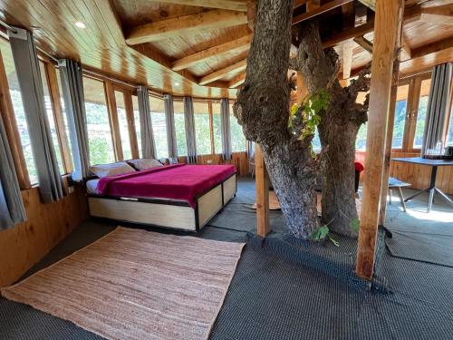 the hidden burrow by whoopers